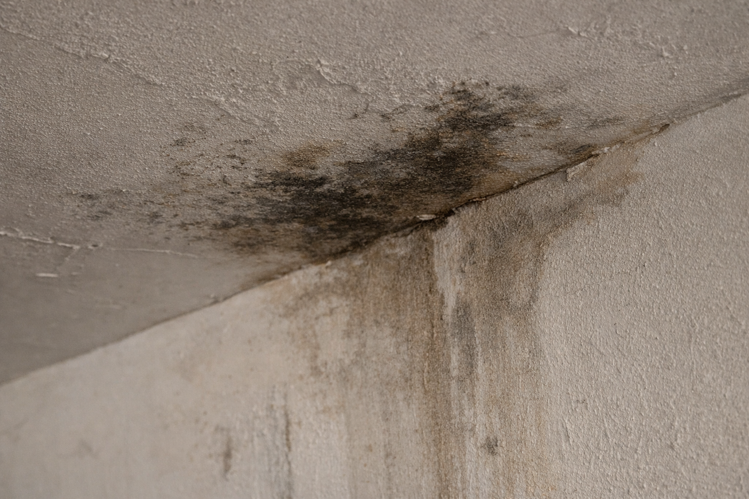 Exemplo de ocorrência com humidade